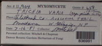 Image Associated With the Occurence